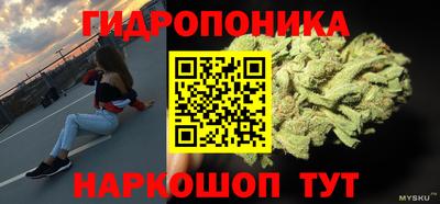 прущие крисы Малгобек
