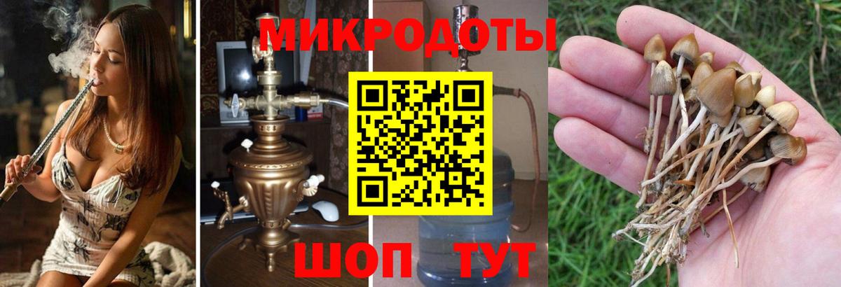 Псилоцибиновые грибы Magic Shrooms Усть-Илимск